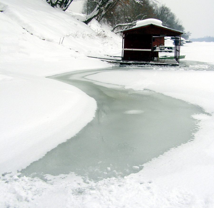 Zale�ena Sava 2012